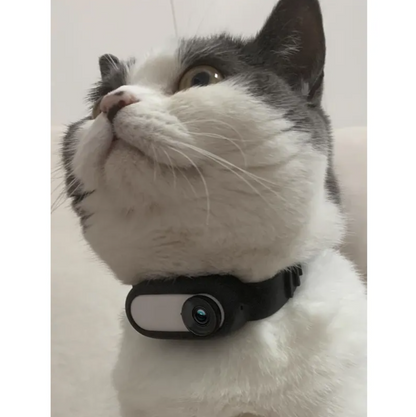 Voltra Pet Collar Camera