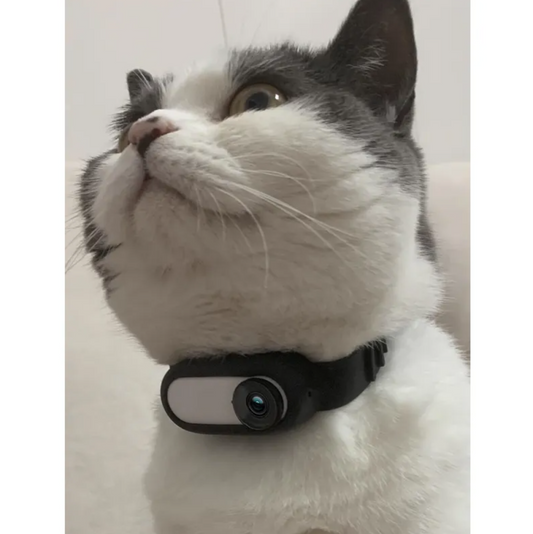 Voltra Pet Collar Camera